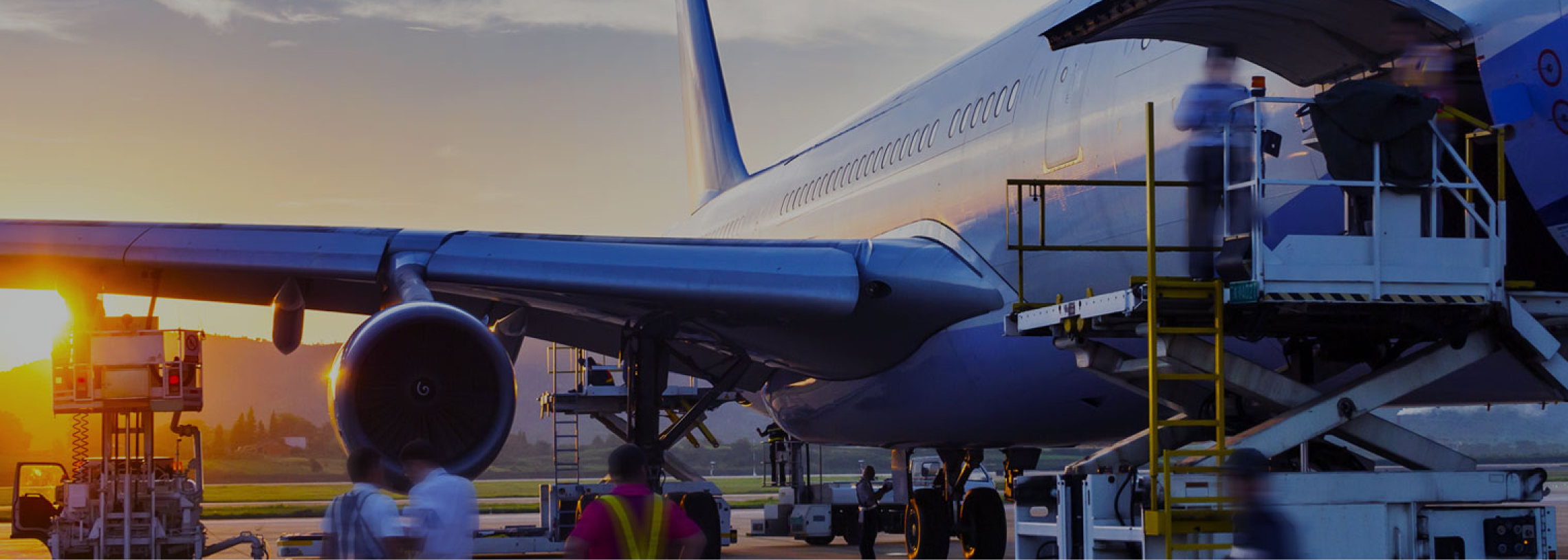 企業情報の画像